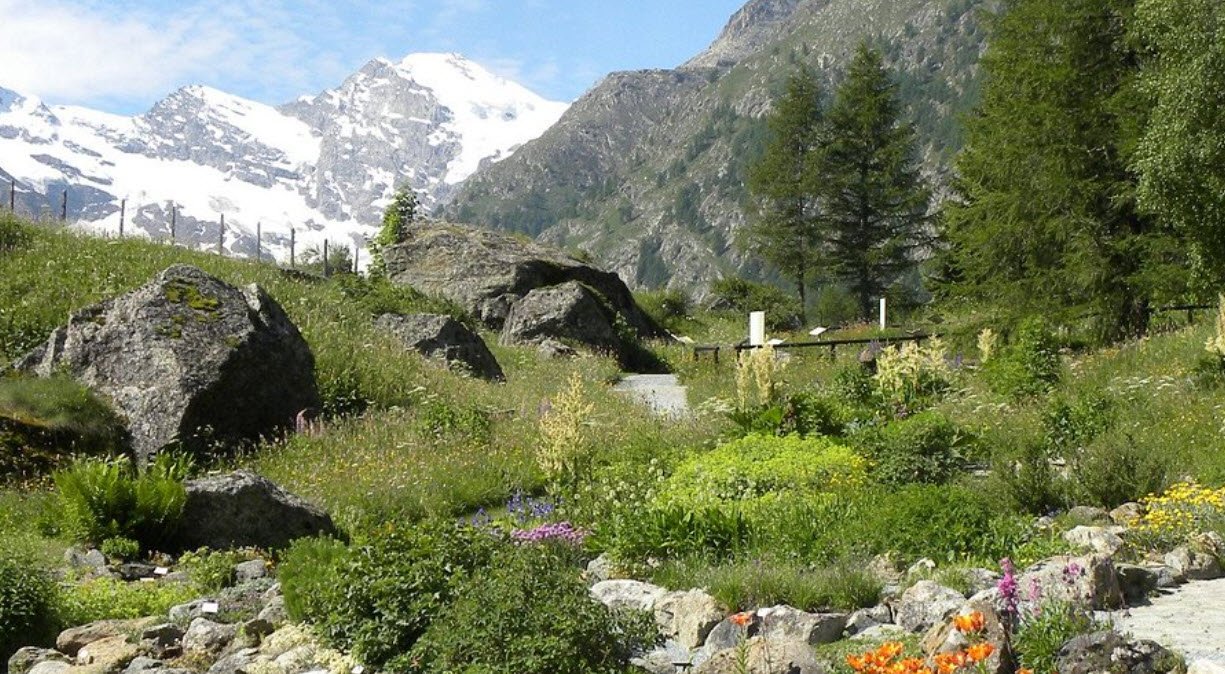 Giardino Botanico Alpino San Marco, Valli del Pasubio, Province of Vicenza, Italy, Italy